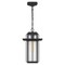 Quoizel Randall 1-Light Mottled Black Mini Pendant RDL1509MB - alternate 2